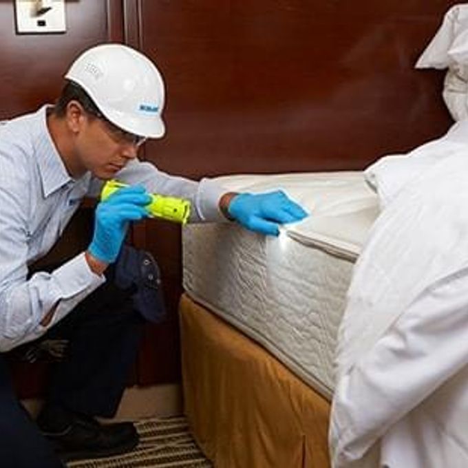 Taylors South Carolina bed bug technician inspecting mattress